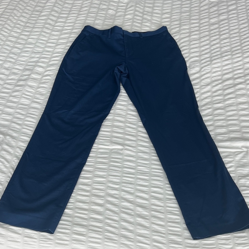Men's Express Classic Blue Dress Pants 30/32
